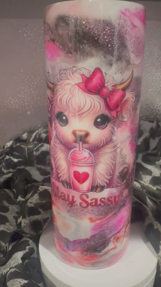 20 oz Tumbler – Sassy